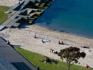 Freyberg Beach, Oriental Bay